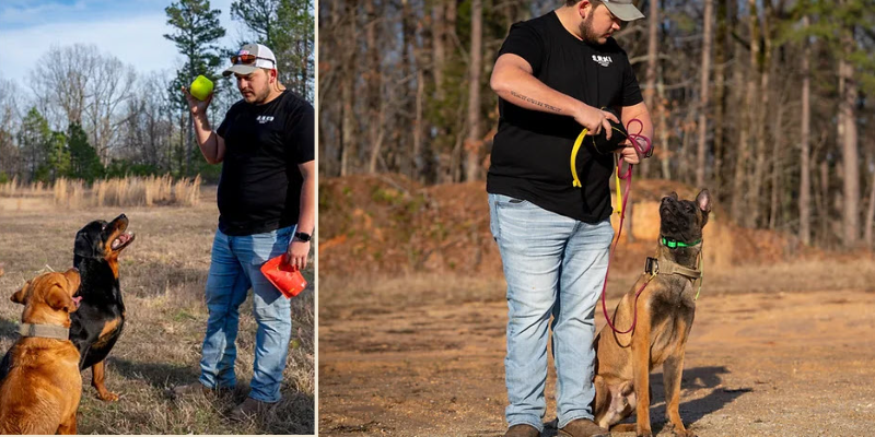 S.N. K9 business image in Paragould, Arkansas